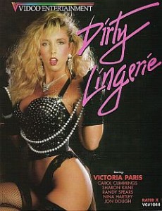 Dirty Lingerie