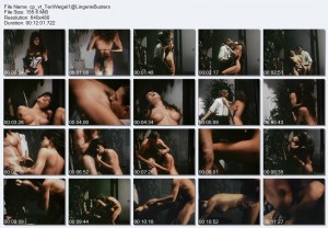 Teri Weigel & Marc Wallice - "Lingerie Busters"
