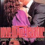 Love In An Elevator