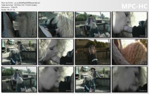 Dixie Peach & Sean Rider - "Desperado"