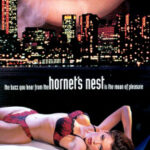 Hornets Nest